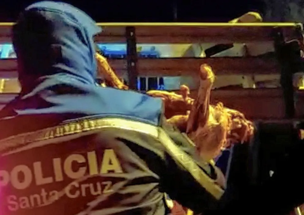 Denuncian que un pueblo de 200 habitantes es zona liberada para los ladrones de ganado ovino