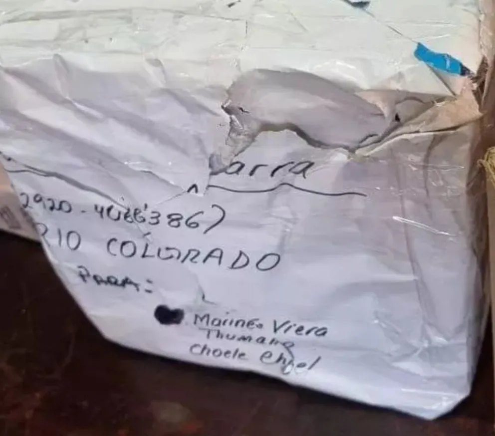 Analizan pedir la impugnación de las elecciones en Sitrajur