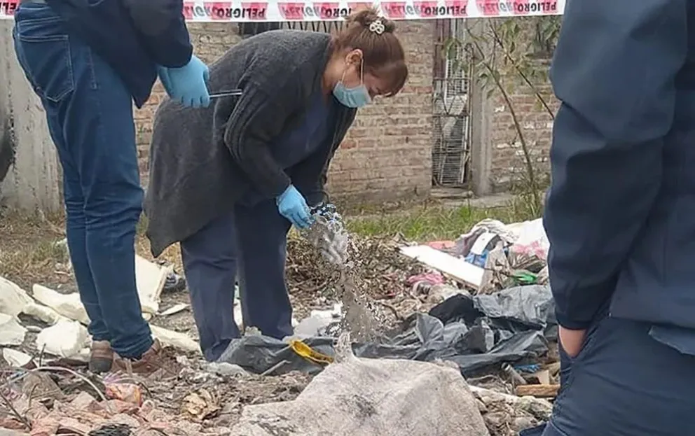 Estaba acusado de violar a su hijastra y apareció descuartizado