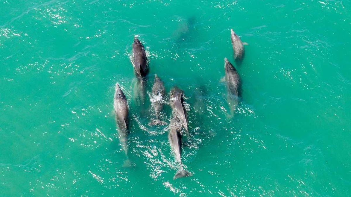 El mar invita a vivir un invierno con excursiones náuticas, fauna marina, buceo y un paisaje único