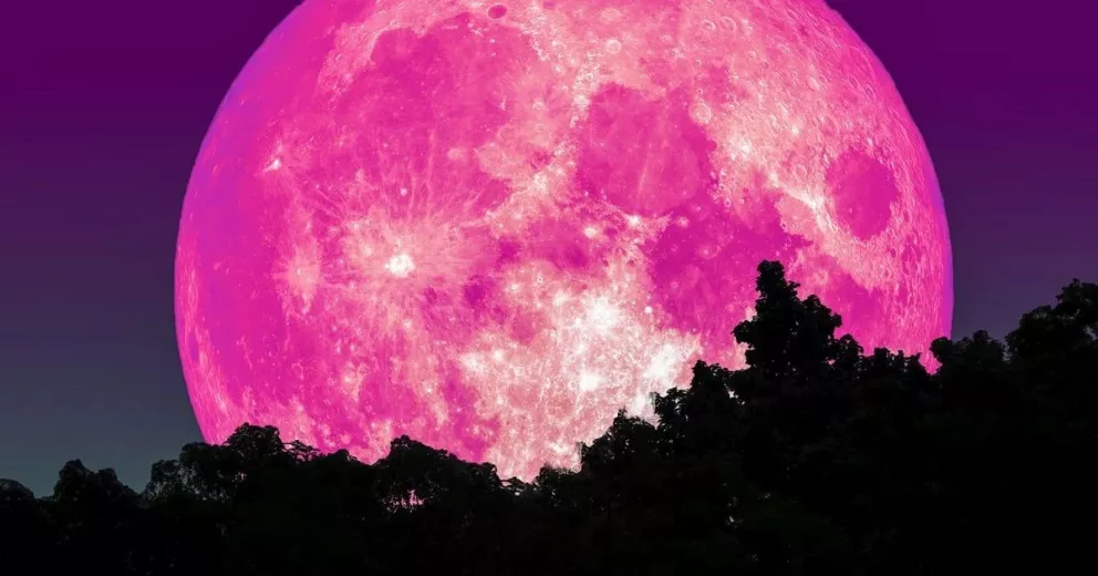 Superluna de fresa: de qué se trata y cuándo podrá verse este fenómeno astronómico