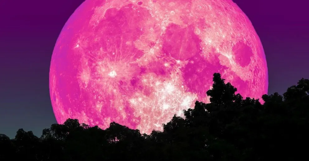 Superluna de fresa: de qué se trata y cuándo podrá verse este fenómeno astronómico
