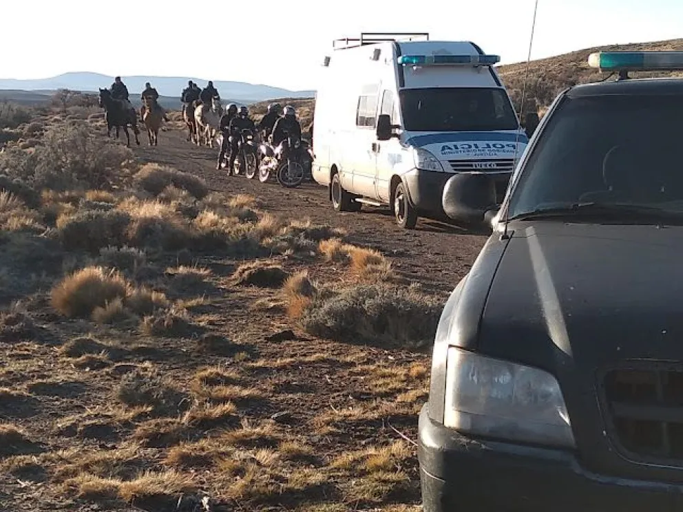 Recuperan 90 animales sustraídos de una conocida compañía ganadera 