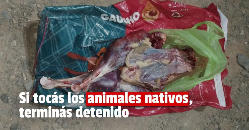 Detuvieron a un sanjuanino por cazar furtivamente en Caucete