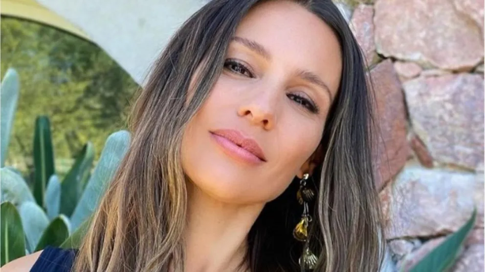 La picante respuesta de Pampita a una twittera que la llamó gorda 