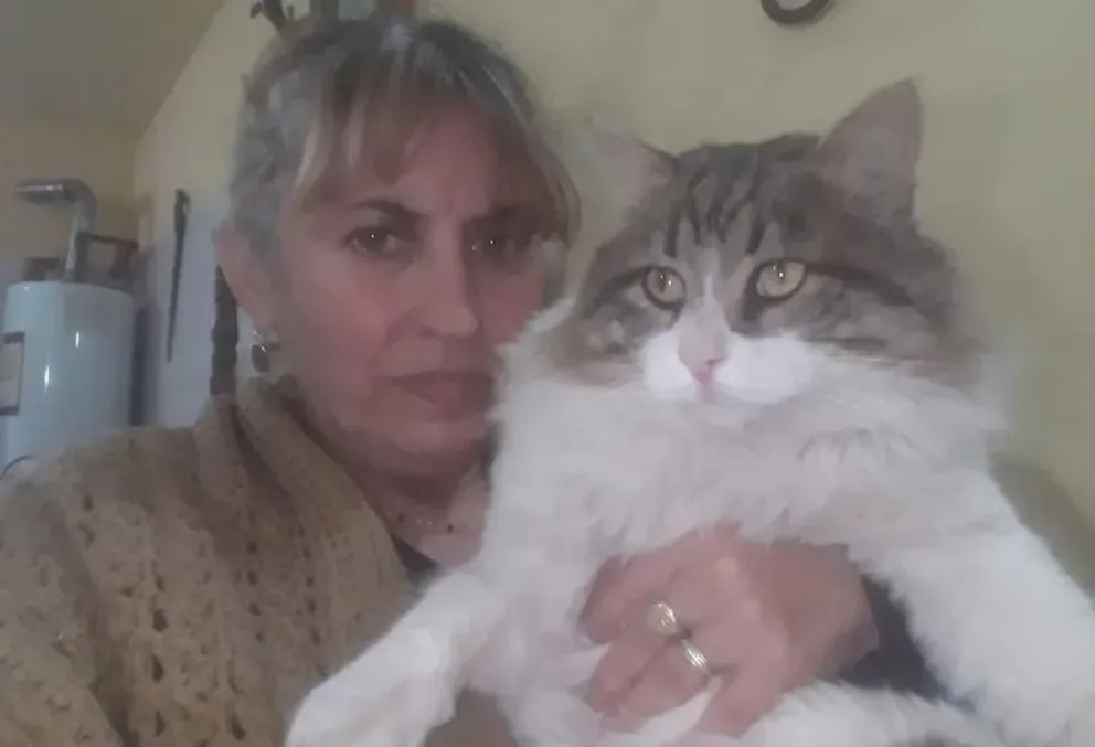 Me pareció ver un lindo gatito: una vecina de SAO mostró a su felino de 9 kilos, de dimensiones de un perro