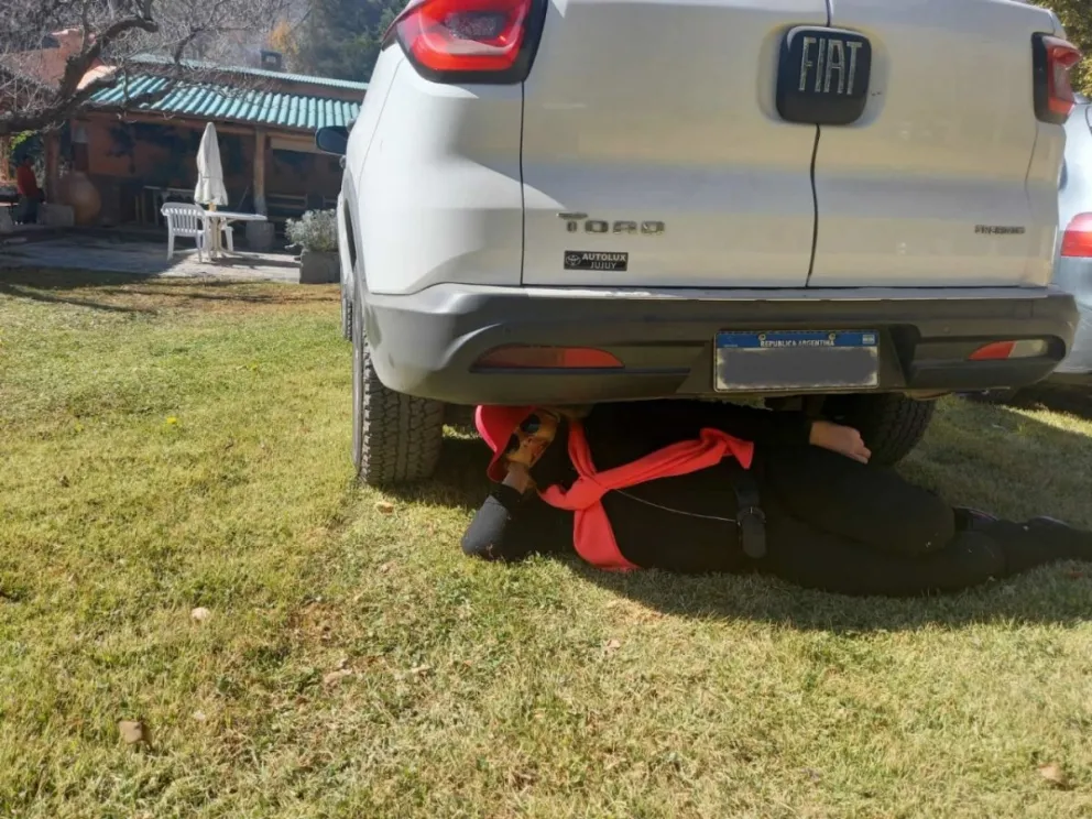 Lilita Carrió revivió su meme viral acostada debajo de un auto
