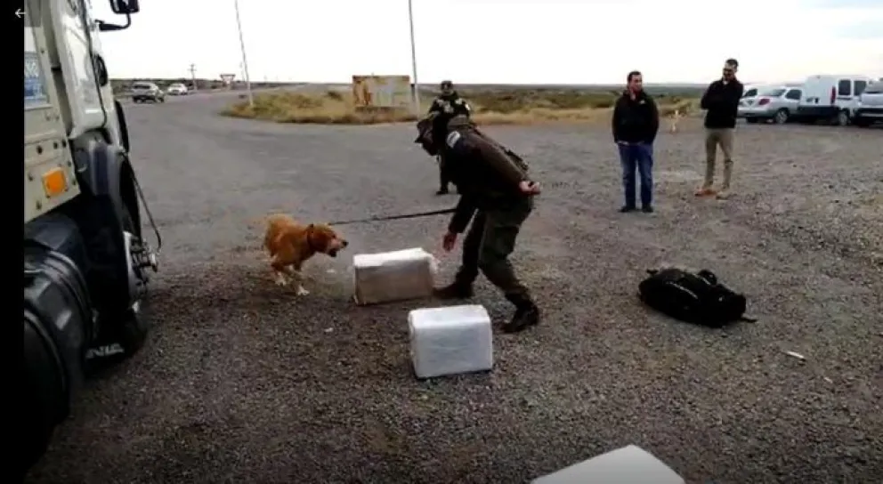 Encontraron encomiendas con droga en un camión rumbo  al sur, y el chofer quedó detenido