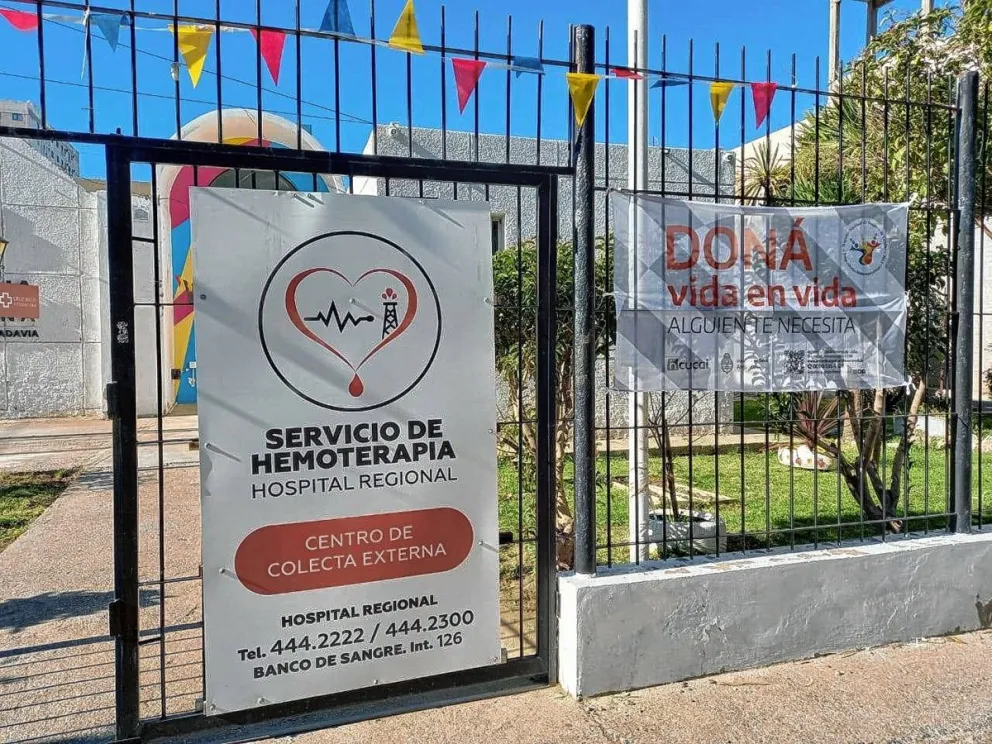 “En dos años pasamos de un 4% a un 50% de donantes voluntarios en Comodoro”