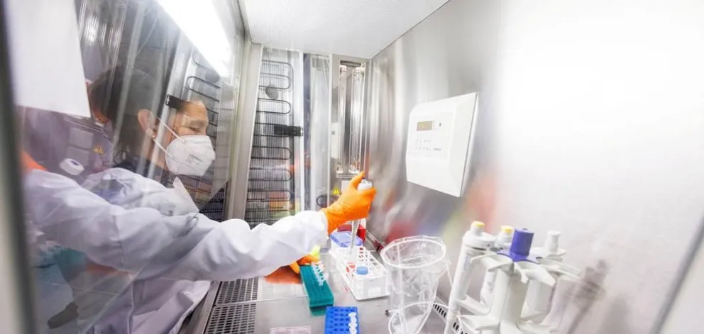 Viruela del mono: Venezuela registró su primer caso y sigue la expansión del virus en América