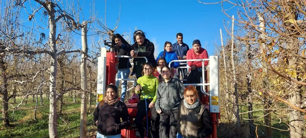 Cuando la poda y el raleo también son oficios de mujer