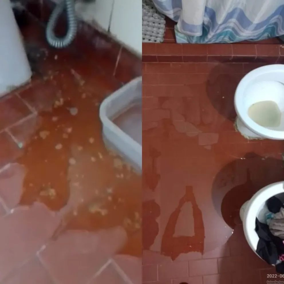 Cuando la desidia genera un verdadero drama: “voy a mi casa solo a limpiar”