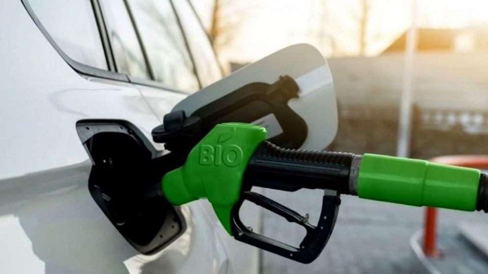 Biodiesel: el 2023 cerrará en niveles mínimos de producción y exportaciones