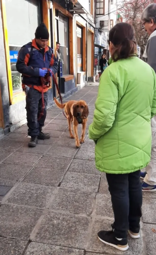  “Estoy bien, en unos días vuelvo” el mensaje de un hombre que era buscado intensamente