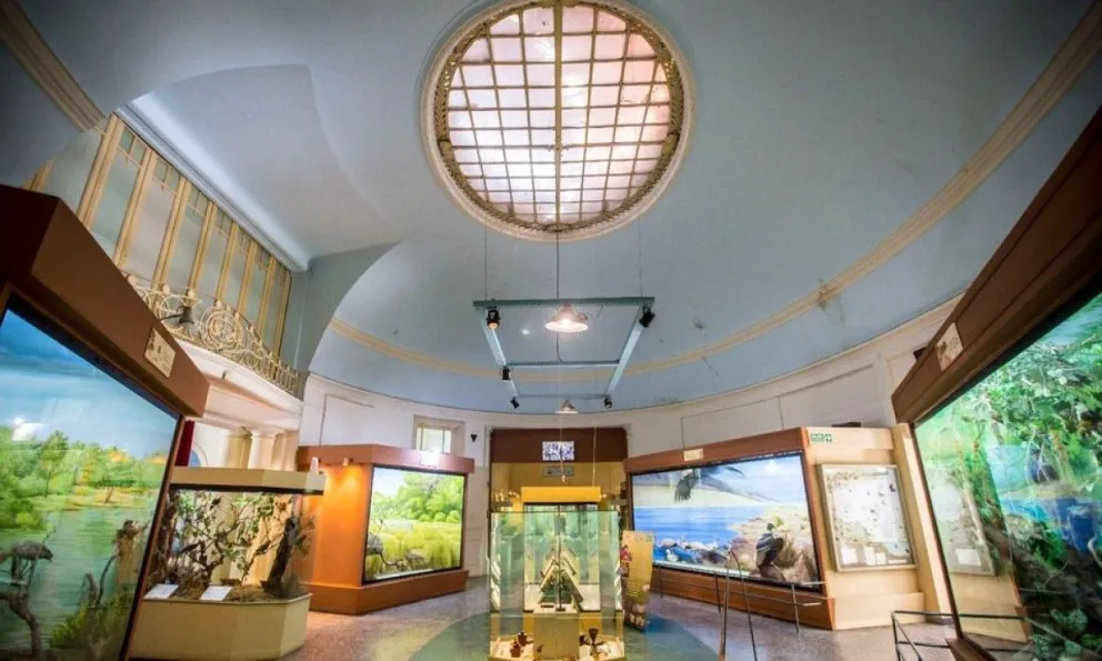 Histórico: el Museo de Ciencias Naturales fue declarado Patrimonio Nacional