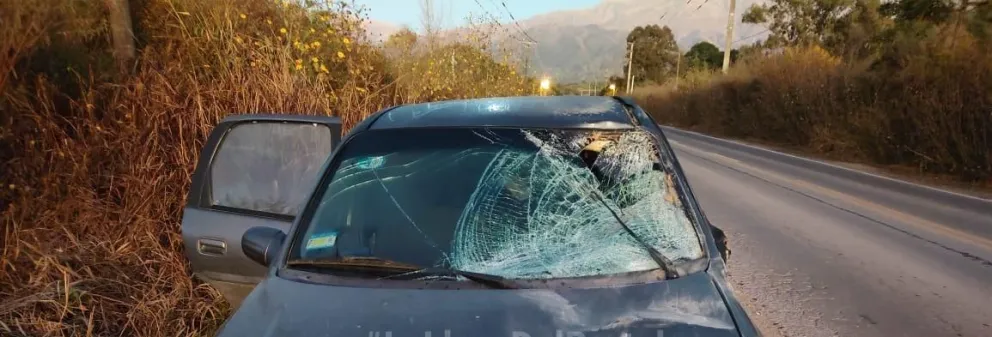 Sufrieron de un fuerte choque por culpa de un caballo que se les atravesó 