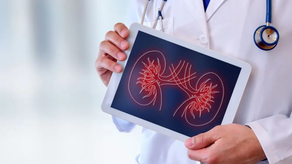 Día Mundial del Cáncer Renal: cuáles son los síntomas