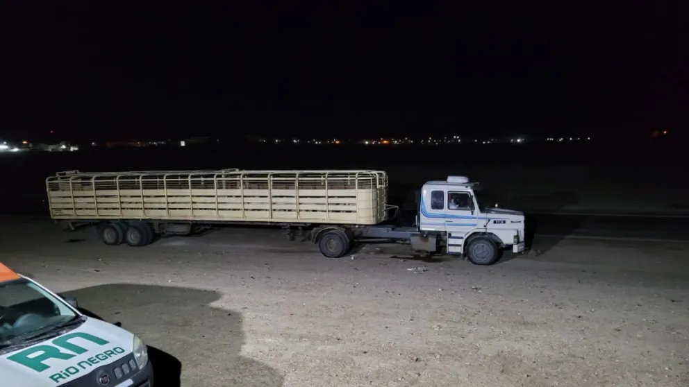 "Flojito de papeles": secuestraron un camión cargado de animales