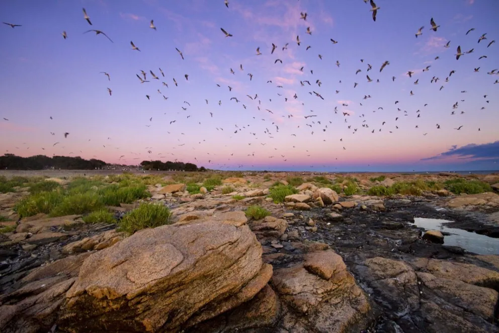 Se creó un nuevo Parque Nacional en el Golfo San Matías