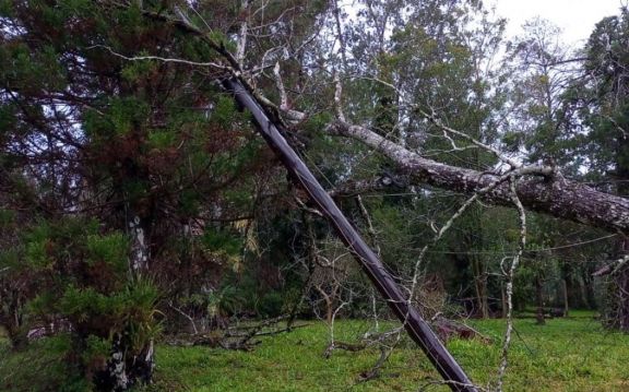 Caída de postes y árboles en Montecarlo debido a la tormenta