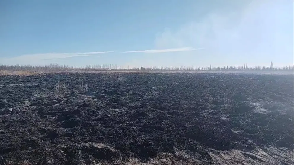 Incendio en cercanías al establecimiento “La matera”