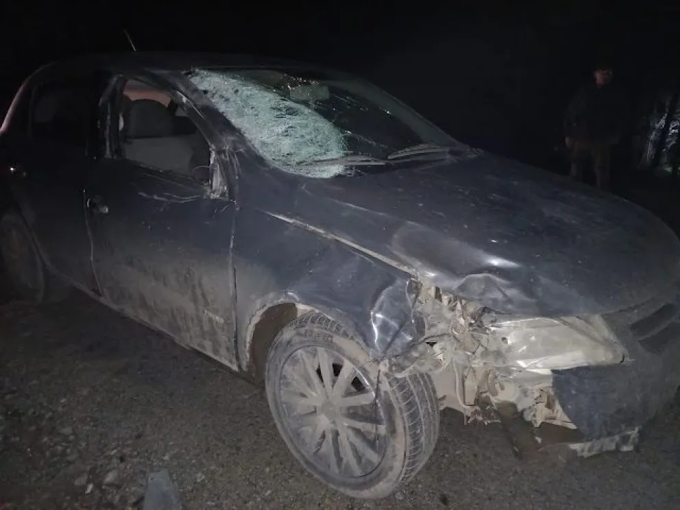 Un caballo suelto provocó un accidente sobre la Ruta Nacional 40