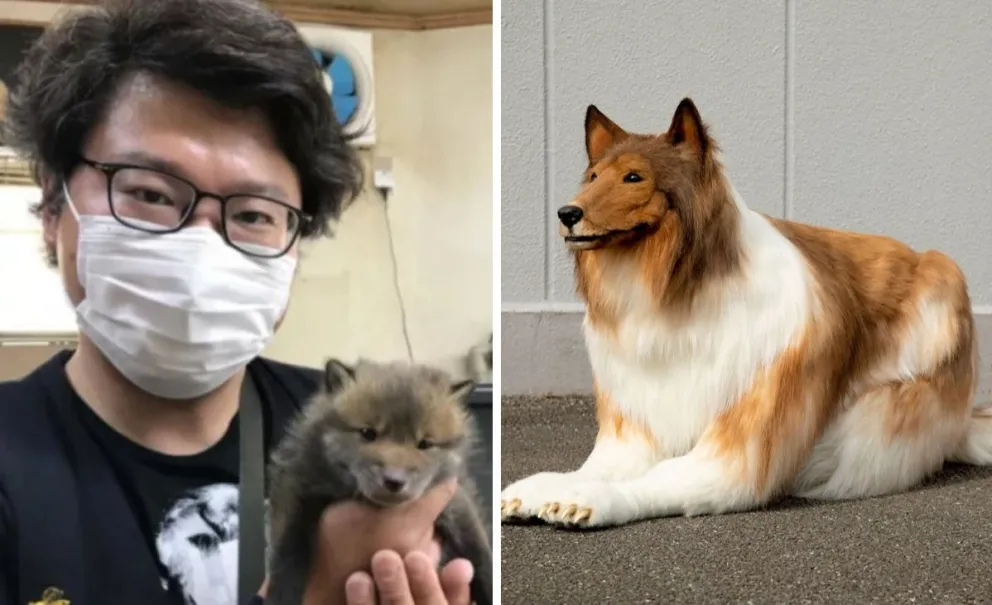 Insólito: un joven japonés pagó 15 mil dólares para convertirse en perro