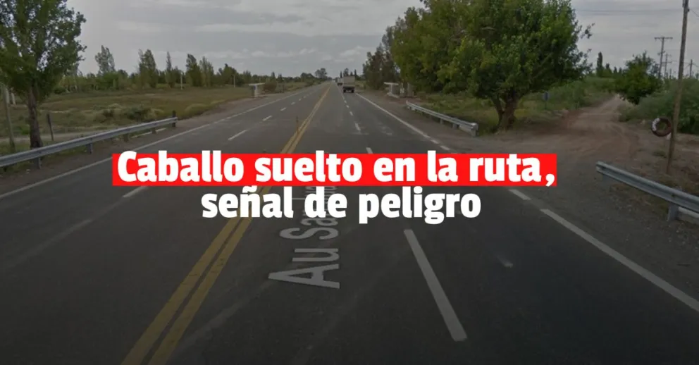 Chocaron a un caballo y terminaron en el hospital
