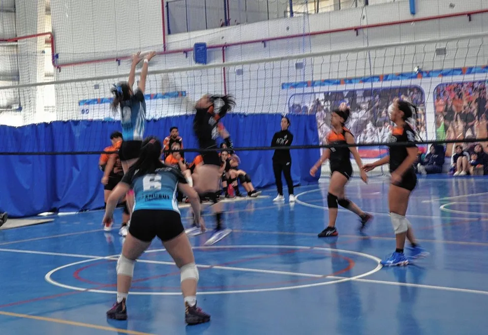 Finaliza el Regional Sub 16 Femenino de voley