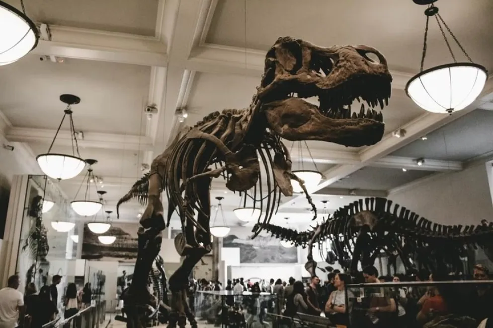 Dinosaurios y otras bestias prehistorias llegan a Viedma: cuándo y dónde verlas 