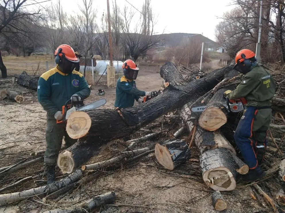 Personal de SPLIF Bariloche realiza importantes trabajos de prevención en Corralito