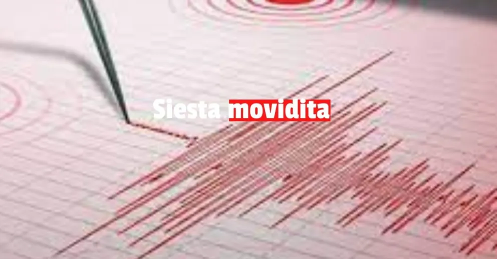 Siesta movidita