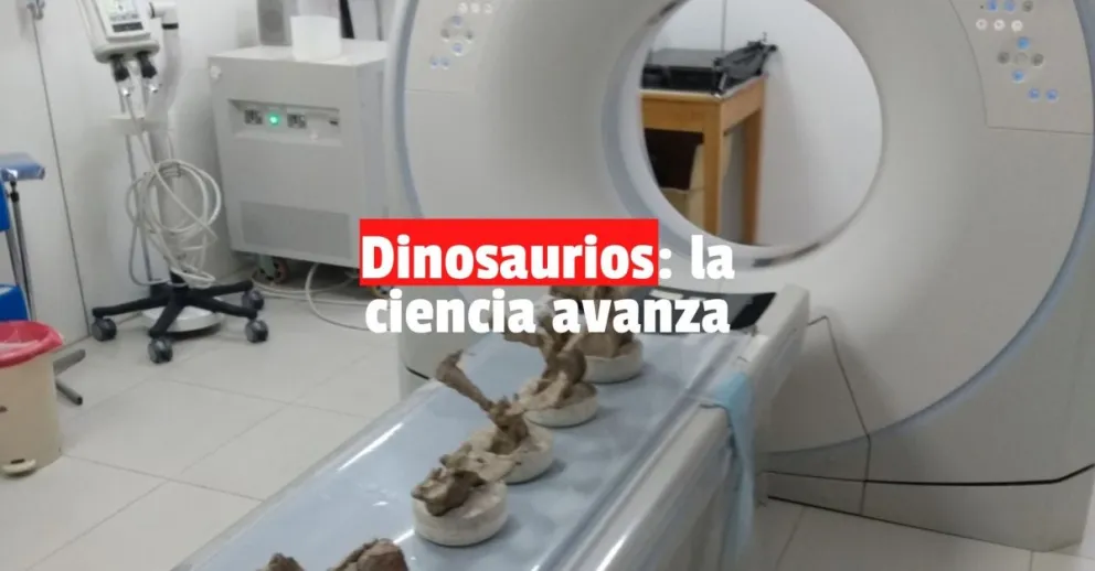 Dinosaurios: la ciencia avanza