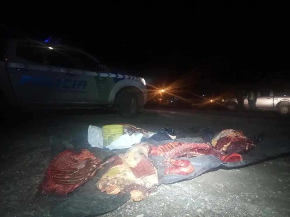 Trasladaba un equino faenado y despostado y fue descubierto por la Policía