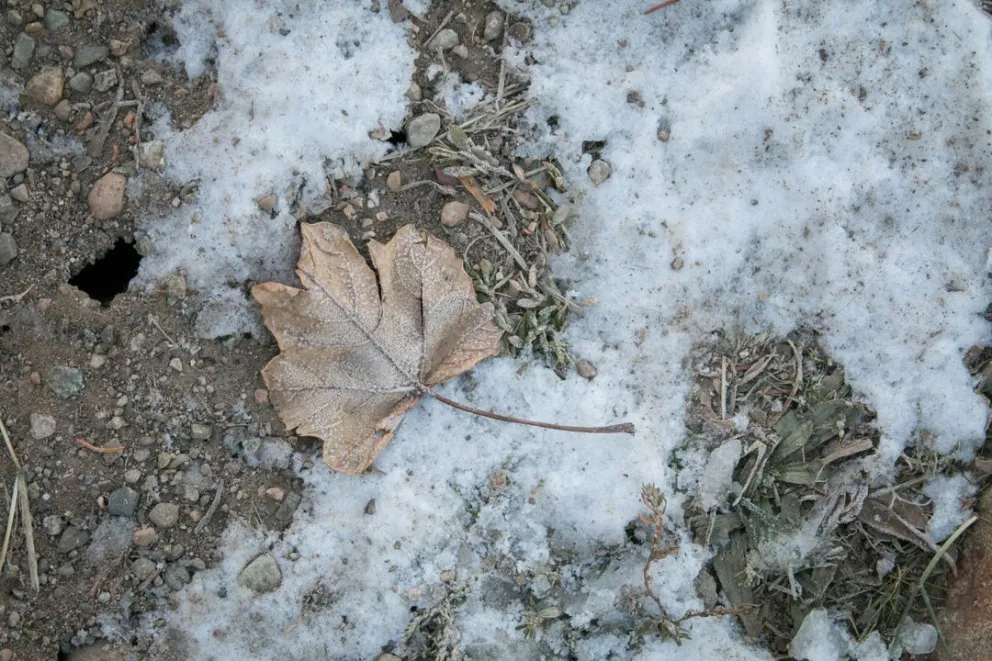 Ola polar en la Patagonia: las temperaturas esta semana llegarán hasta -10 grados