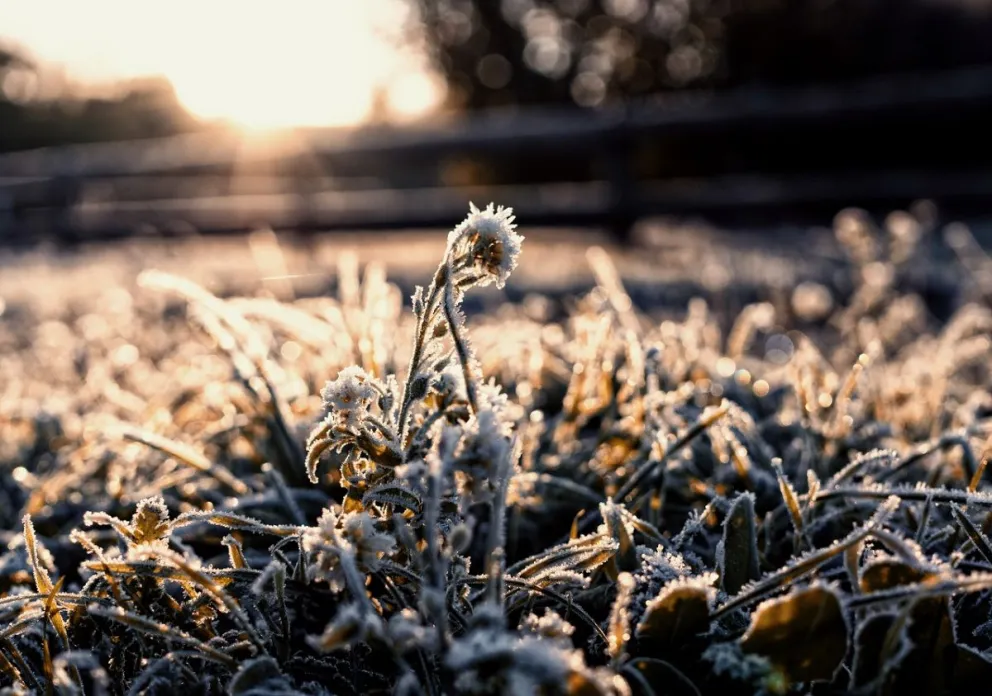 invierno argentina