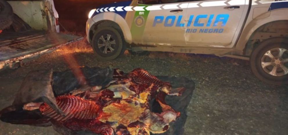 Secuestraron carne de caballo faenada clandestinamente
