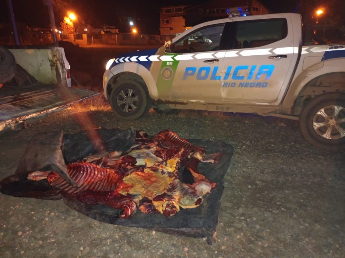 En distintos controles la Brigada Rural secuestró equinos faenados clandestinamente
