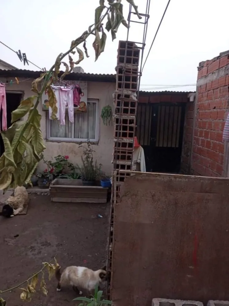 Abuela convive con usurpadores y las autoridades solo le piden "que tratemos de llevarnos bien"
