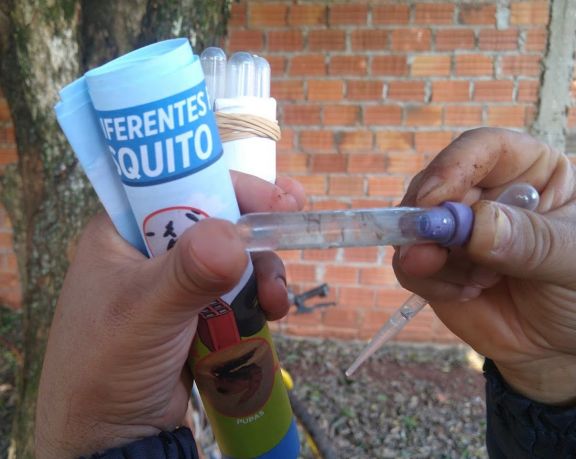 Interbrote: comenzó el levantamiento rápido de Aedes Aegypti en Puerto Iguazú