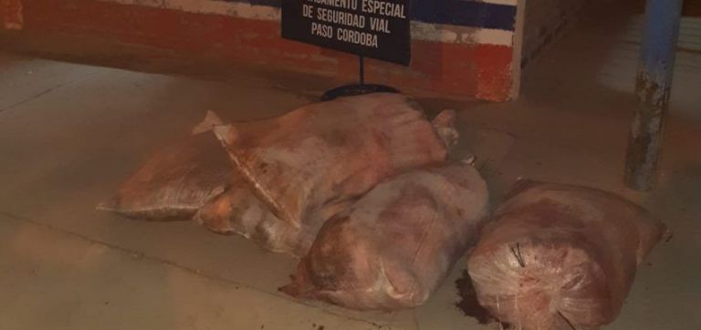 No aprenden más: siguen los decomisos de carne en Paso Córdoba