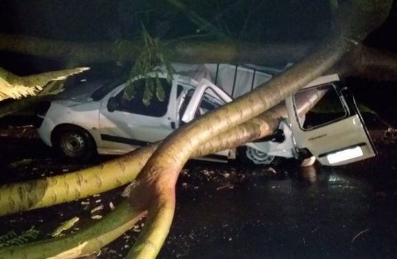 Temporal en Oberá: un árbol cayó sobre un utilitario y su conductor se salvó de milagro 