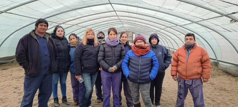 Con todo éxito continúan desarrollándose las capacitaciones sobre Viñedos y Olivos en Caleta Olivia