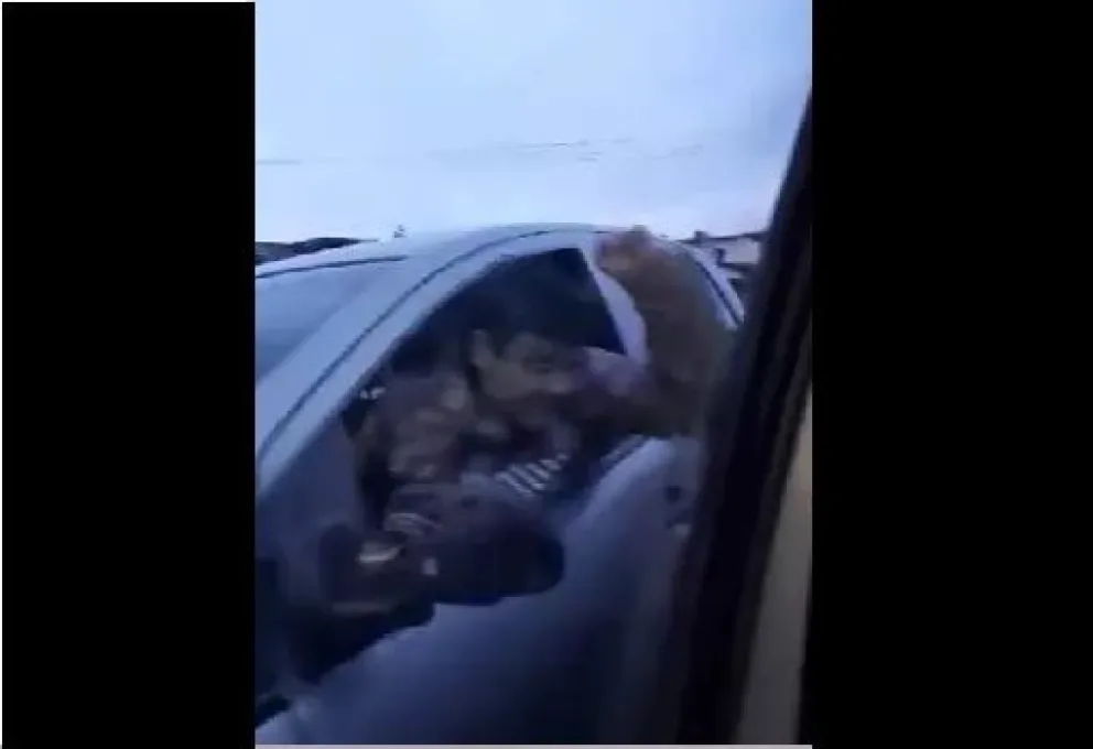 Escándalo en Bariloche: un automovilista le dio piñas a un coche mientras manejaba