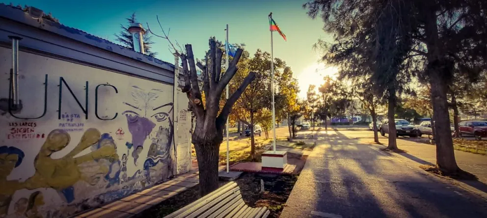 Goicochea habló de "ahogo presupuestario" en el CURZAS y las universidades