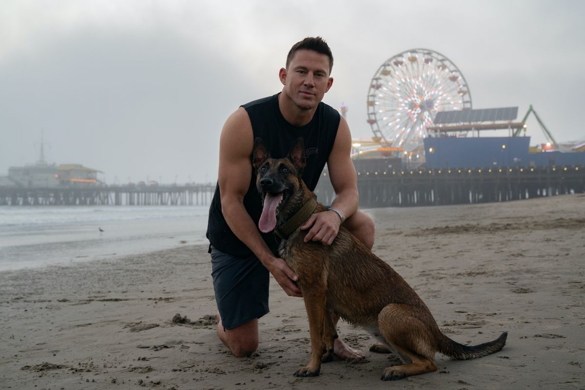 Crítica de “Dog: Un viaje salvaje”, Channing Tatum en una aventura que no es lo que aparenta