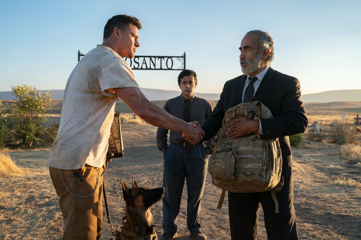 Crítica de “Dog: Un viaje salvaje”, Channing Tatum en una aventura que no es lo que aparenta