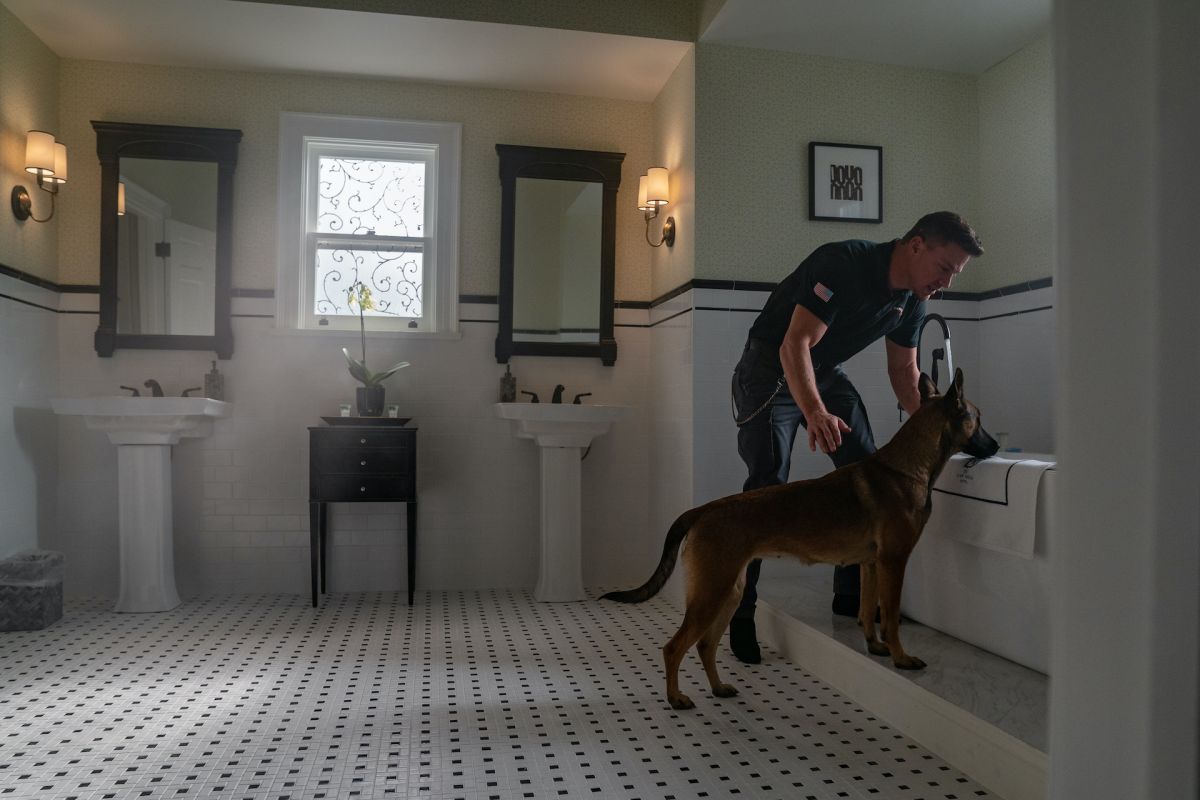 Crítica de “Dog: Un viaje salvaje”, Channing Tatum en una aventura que no es lo que aparenta