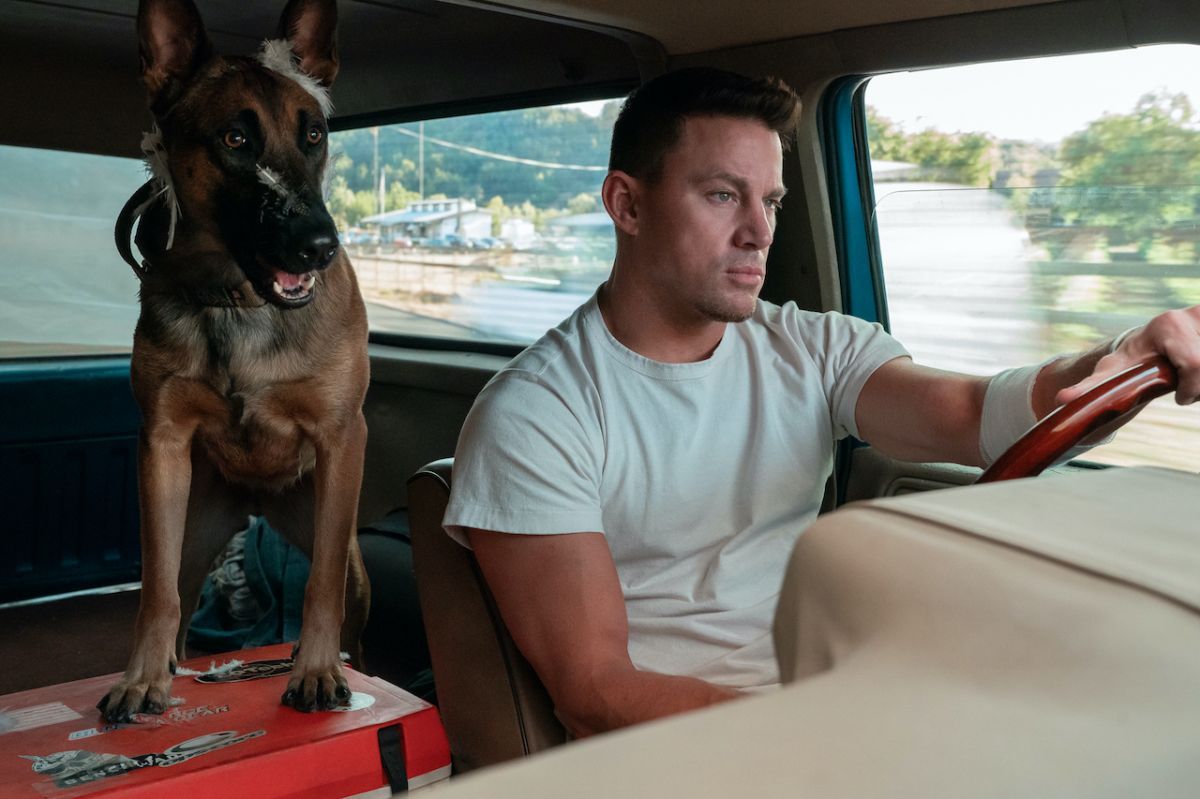 Crítica de “Dog: Un viaje salvaje”, Channing Tatum en una aventura que no es lo que aparenta