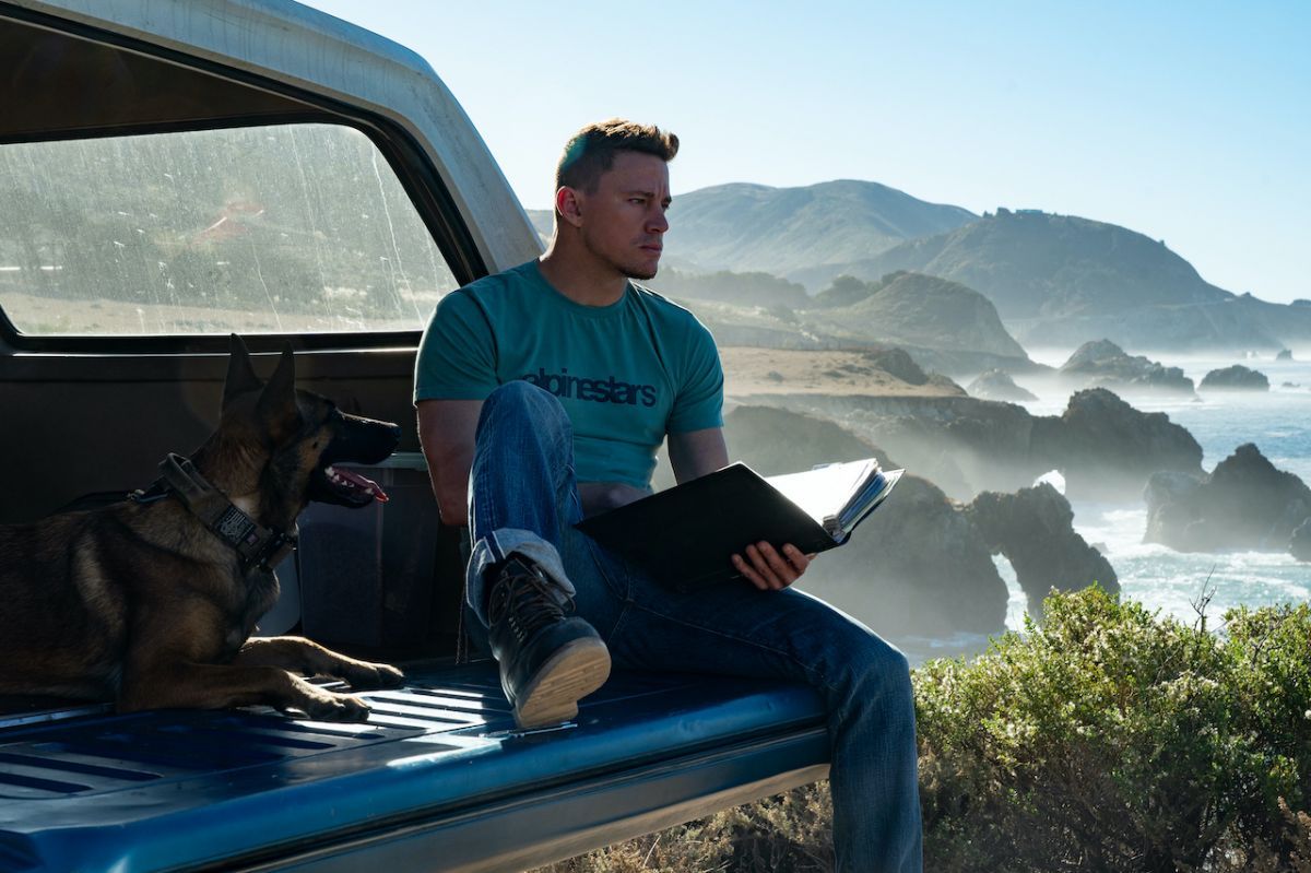 Crítica de “Dog: Un viaje salvaje”, Channing Tatum en una aventura que no es lo que aparenta